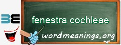 WordMeaning blackboard for fenestra cochleae